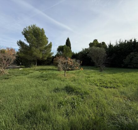 Rare au paradou - constrcuteur de maison - Villas la Provençale