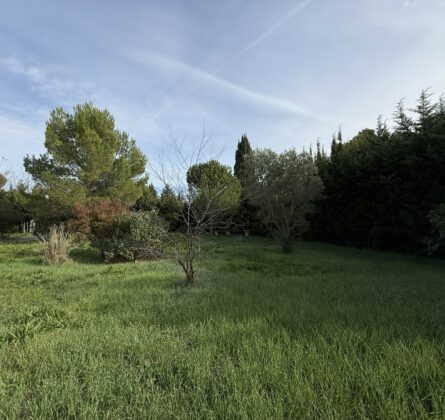 Rare au paradou - constrcuteur de maison - Villas la Provençale
