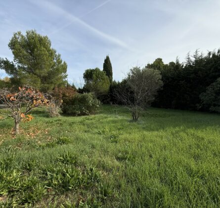 Rare au paradou - constrcuteur de maison - Villas la Provençale