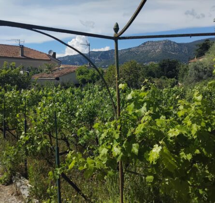 TOULON Rare Projet de construciton 140 m² Permis accordé - constrcuteur de maison - Villas la Provençale