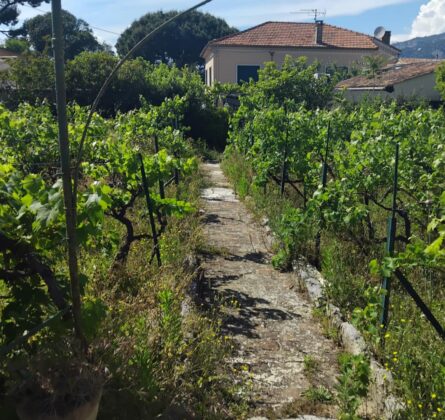 TOULON Rare Projet de construciton 140 m² Permis accordé - constrcuteur de maison - Villas la Provençale