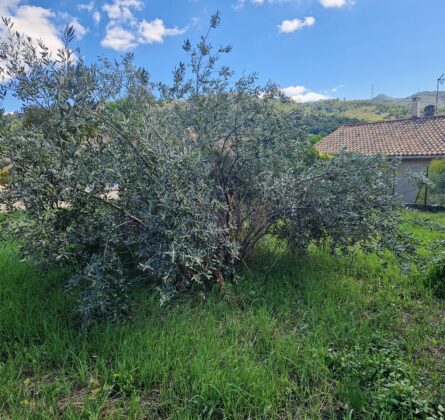 ALLAUCH – LOGIS NEUF | TERRAIN À BÂTIR 430 m² - constrcuteur de maison - Villas la Provençale