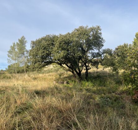 Rare ! Grande surface - constrcuteur de maison - Villas la Provençale