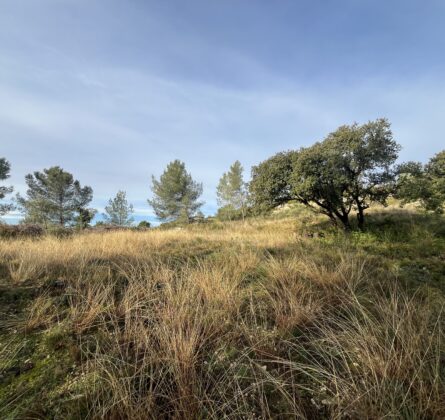 Rare ! Grande surface - constrcuteur de maison - Villas la Provençale