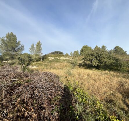 Rare ! Grande surface - constrcuteur de maison - Villas la Provençale