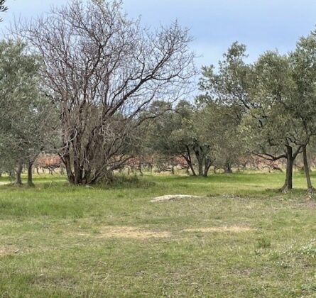 cK-00030 - constrcuteur de maison - Villas la Provençale