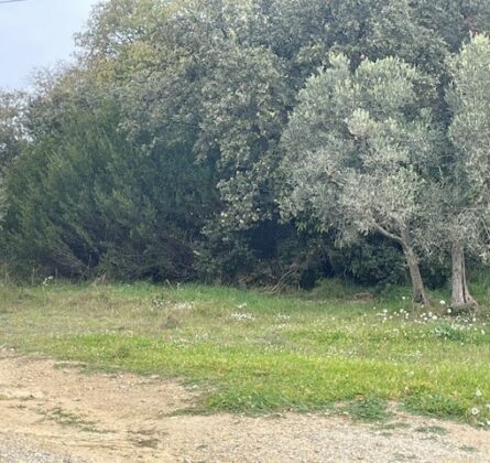 cK-00031 - constrcuteur de maison - Villas la Provençale