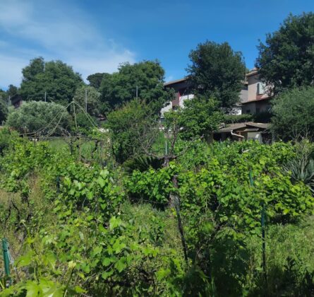 Terrain constructible TOULON La Serinette Proche Mourillon - constrcuteur de maison - Villas la Provençale