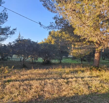 Terrain à saisir - constrcuteur de maison - Villas la Provençale