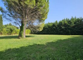 Magnifique Terrain avec grande Surface