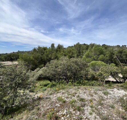 Dernier Lot 412m2 ! - constrcuteur de maison - Villas la Provençale
