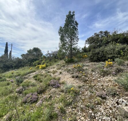 Dernier Lot 412m2 ! - constrcuteur de maison - Villas la Provençale