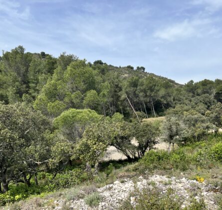 Dernier Lot 412m2 ! - constrcuteur de maison - Villas la Provençale