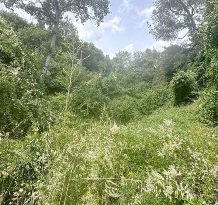 Terrain À Vendre - constrcuteur de maison - Villas la Provençale