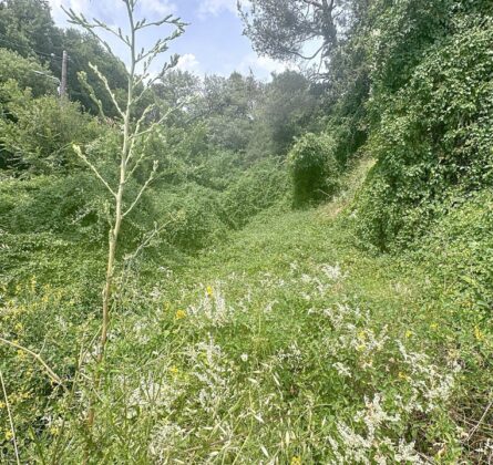 Terrain À Vendre - constrcuteur de maison - Villas la Provençale