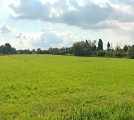 Terrain à bâtir Saint-Martin-de-Crau - constrcuteur de maison - Villas la Provençale