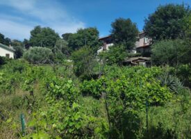 Terrain constructible TOULON La Serinette Proche Mourillon