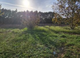 Projet Villa