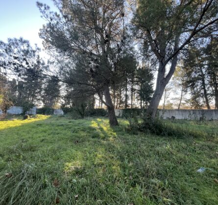 Terrain + Maison - constrcuteur de maison - Villas la Provençale