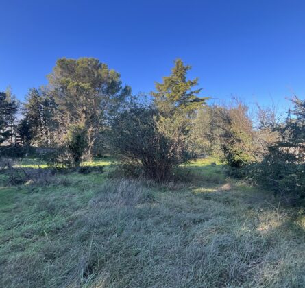 Rare en Avignon - constrcuteur de maison - Villas la Provençale