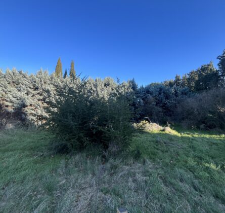 Rare en Avignon - constrcuteur de maison - Villas la Provençale