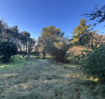 Rare en Avignon - constrcuteur de maison - Villas la Provençale