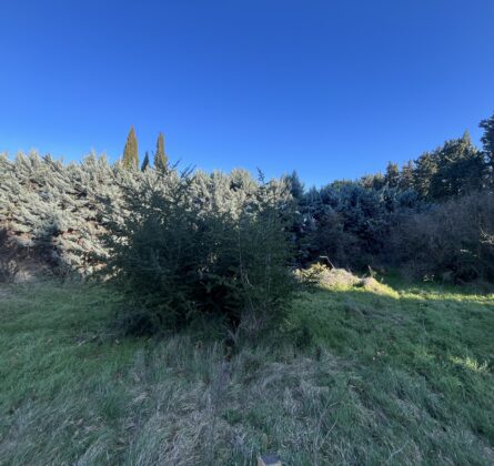 Rare en Avignon - constrcuteur de maison - Villas la Provençale