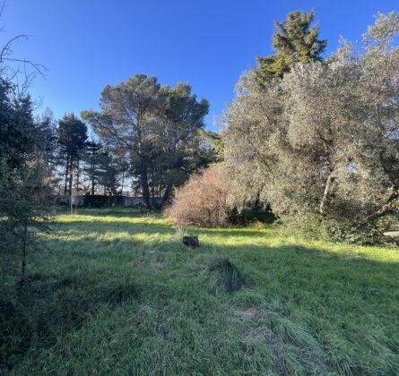 Rare en Avignon - constrcuteur de maison - Villas la Provençale