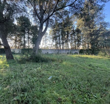 Rare en Avignon - constrcuteur de maison - Villas la Provençale