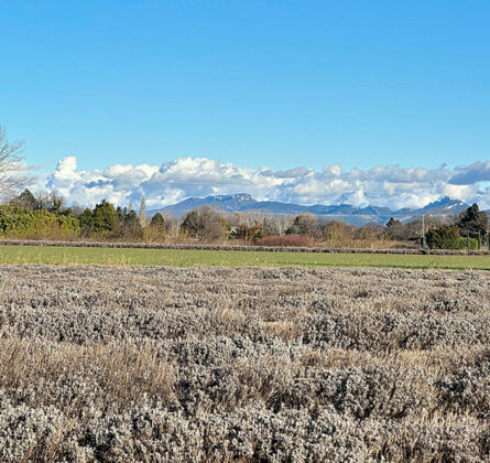 Terrains à Bâtir Les Terres des Veyrières - constrcuteur de maison - Villas la Provençale