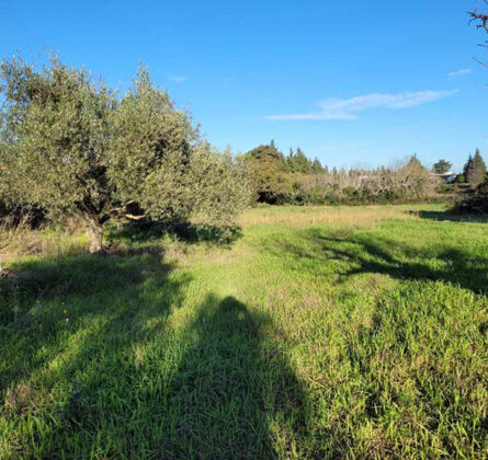 Terrain constructible, bel emplacement à Le Pontet - constrcuteur de maison - Villas la Provençale