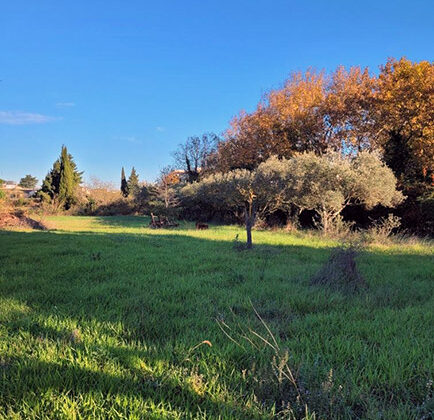 Terrain constructible, bel emplacement à Le Pontet - constrcuteur de maison - Villas la Provençale
