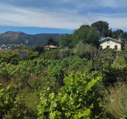 Projet de construction sur TOULON 419000 euros - constrcuteur de maison - Villas la Provençale