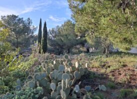 Rare à la vente : Magnifique terrain Martigues