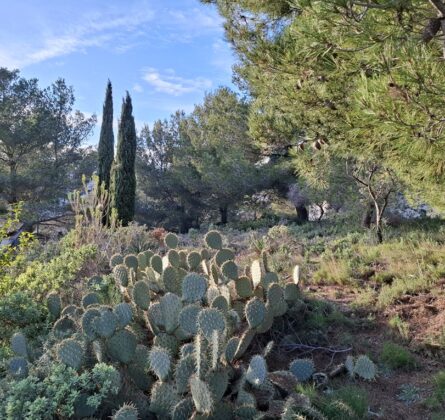 Rare à la vente : Magnifique terrain Martigues - constrcuteur de maison - Villas la Provençale