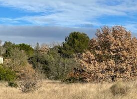 Un cadre idéal pour construire votre avenir à Lauris