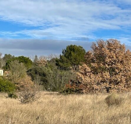 Un cadre idéal pour construire votre avenir à Lauris - constrcuteur de maison - Villas la Provençale