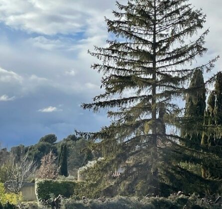 Un cadre idéal pour construire votre avenir à Lauris - constrcuteur de maison - Villas la Provençale