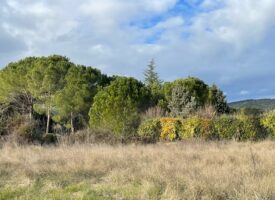 Un cadre privilégié pour concrétiser votre projet de vie à Lauris