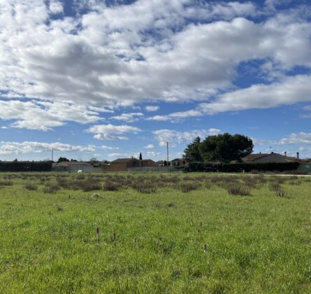 Terrains en Exclusivité à Sorgues ! - constrcuteur de maison - Villas la Provençale