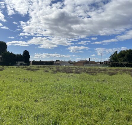 Terrains en Exclusivité à Sorgues ! - constrcuteur de maison - Villas la Provençale