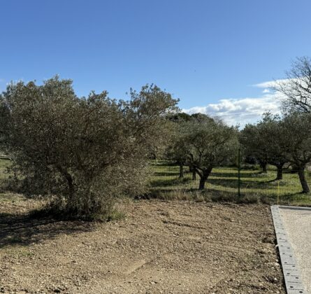 terrain à bâtir MERINDOL - constrcuteur de maison - Villas la Provençale