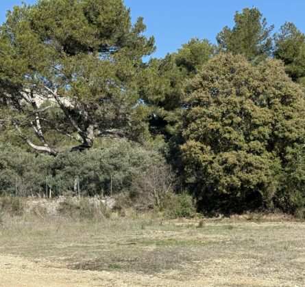 terrain à bâtir MERINDOL - constrcuteur de maison - Villas la Provençale
