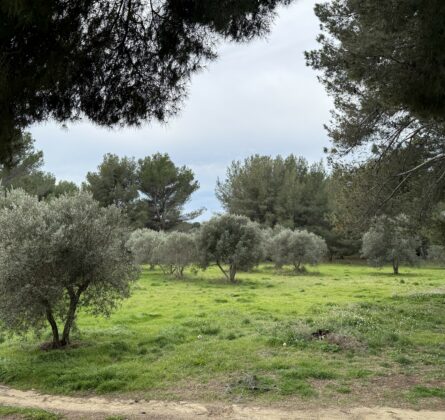 terrain à Batir saint chamas - constrcuteur de maison - Villas la Provençale