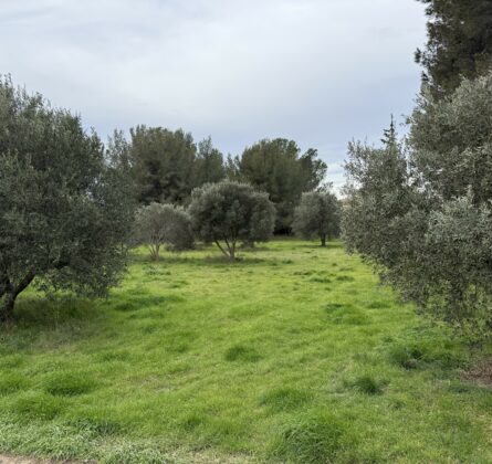 terrain à Batir saint chamas - constrcuteur de maison - Villas la Provençale
