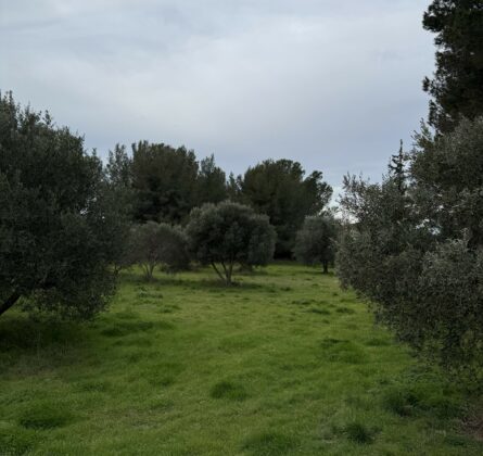 terrain à Batir saint chamas - constrcuteur de maison - Villas la Provençale