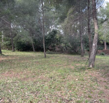 Un cadre privilégié pour construire votre villa à Ollioules - constrcuteur de maison - Villas la Provençale
