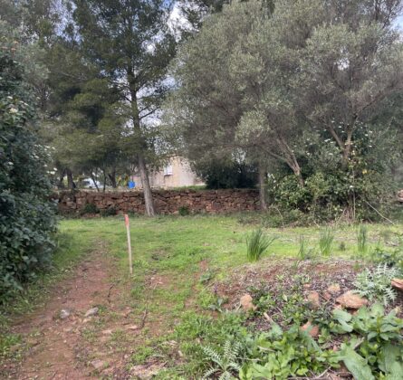 Un cadre privilégié pour construire votre villa à Ollioules - constrcuteur de maison - Villas la Provençale