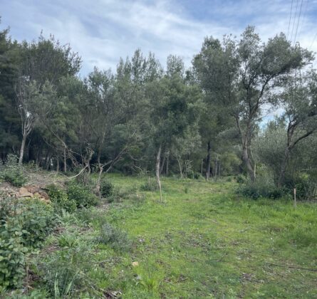 Un cadre privilégié pour construire votre villa à Ollioules - constrcuteur de maison - Villas la Provençale