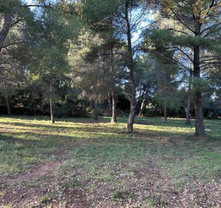 Terrain OLLIOULES à partir de 195.000 euros HFN - constrcuteur de maison - Villas la Provençale